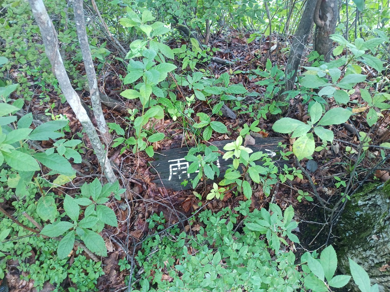 LINE_ALBUM_22025 雨呼山（あめよばりやま）登山_221002_207