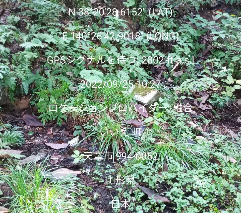 LINE_ALBUM_22025 雨呼山（あめよばりやま）登山_221002_176