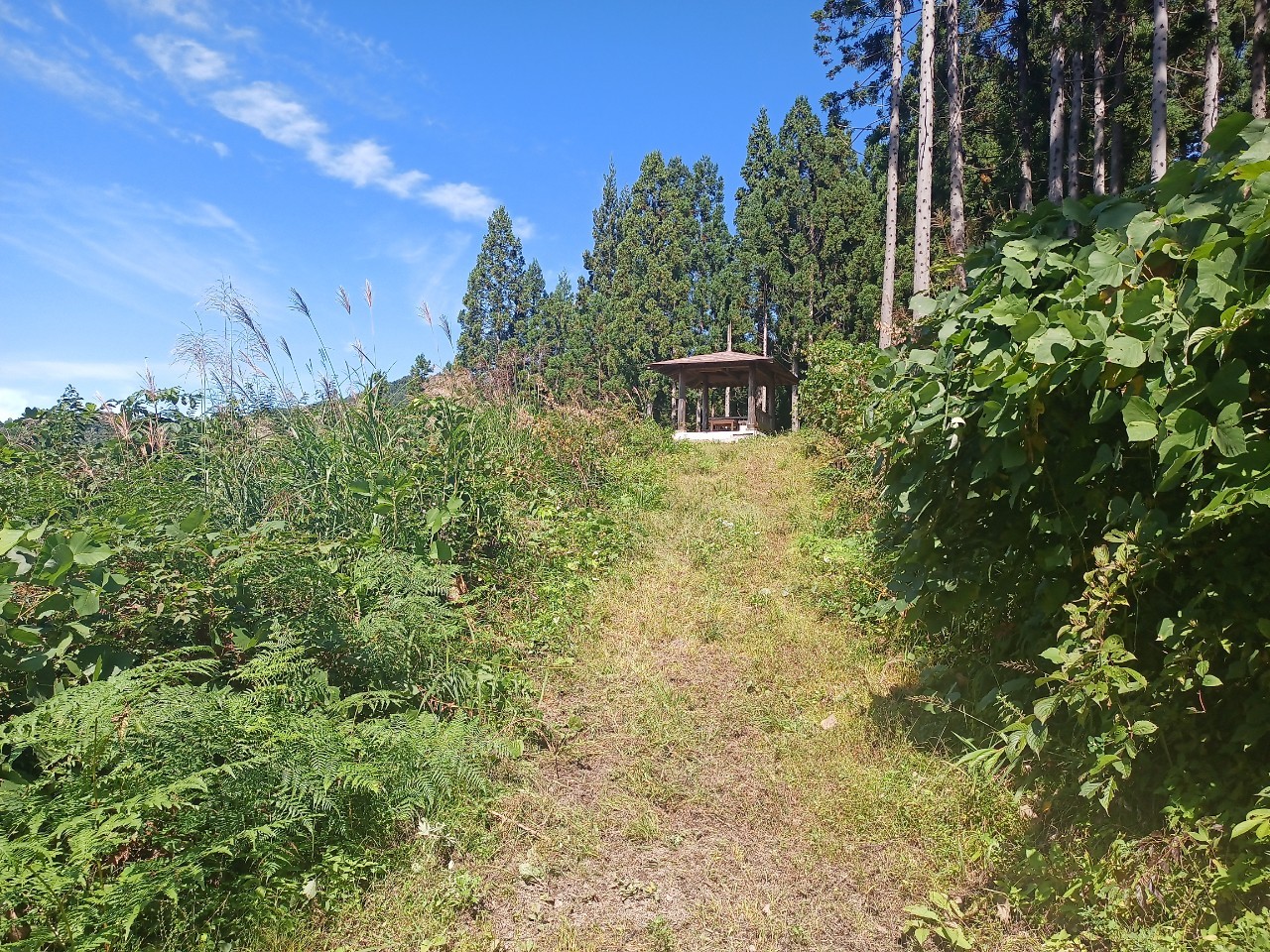 LINE_ALBUM_22025 雨呼山（あめよばりやま）登山_221002_94