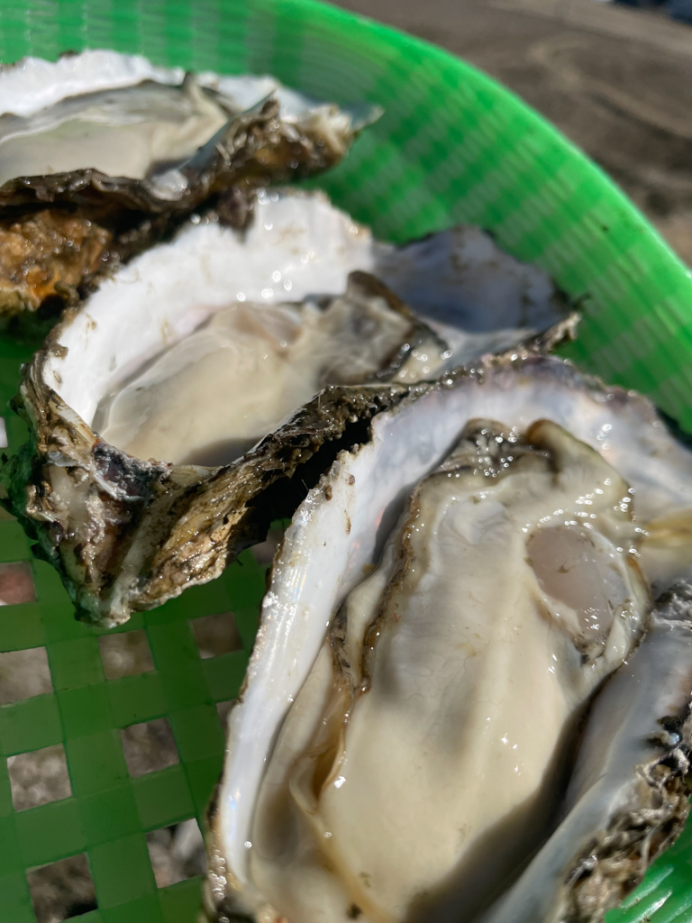 三陸海鮮-3