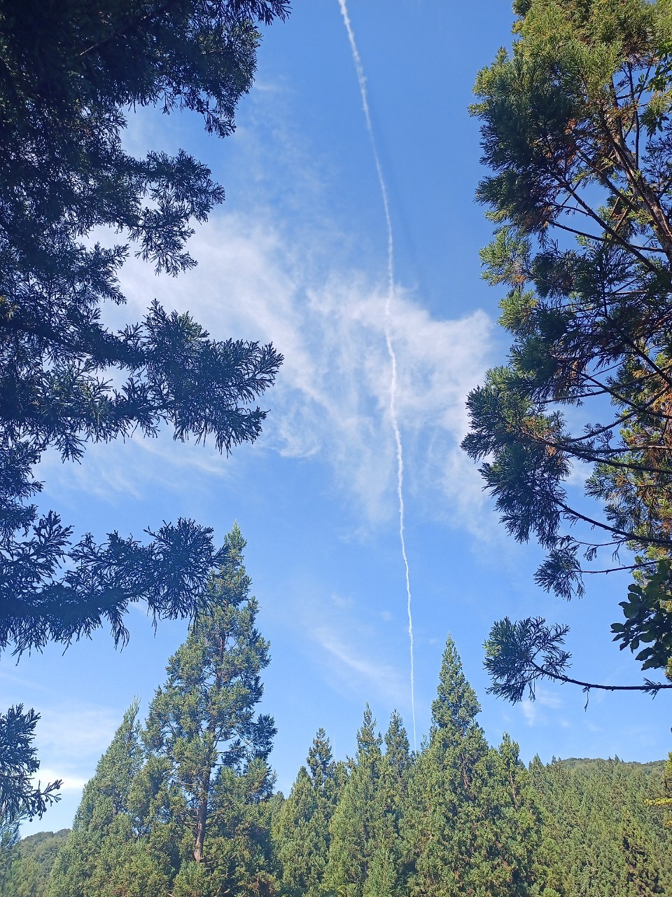 LINE_ALBUM_22025 雨呼山（あめよばりやま）登山_221002_65