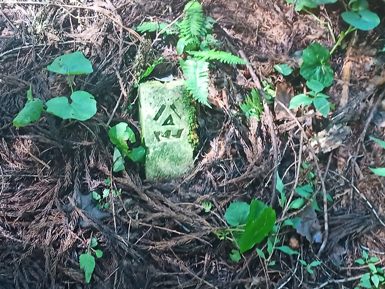 LINE_ALBUM_22025 雨呼山（あめよばりやま）登山_221002_107