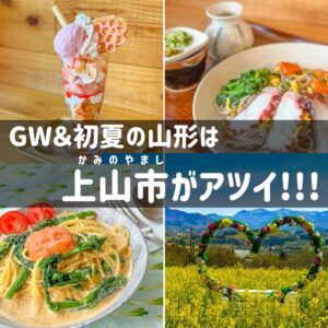 2023-上山市菜の花畑-アイキャッチ1