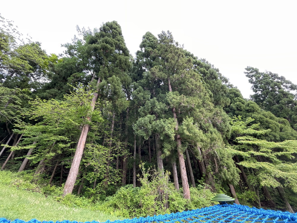 西蔵王公園-ネット遊具リニューアル (1)