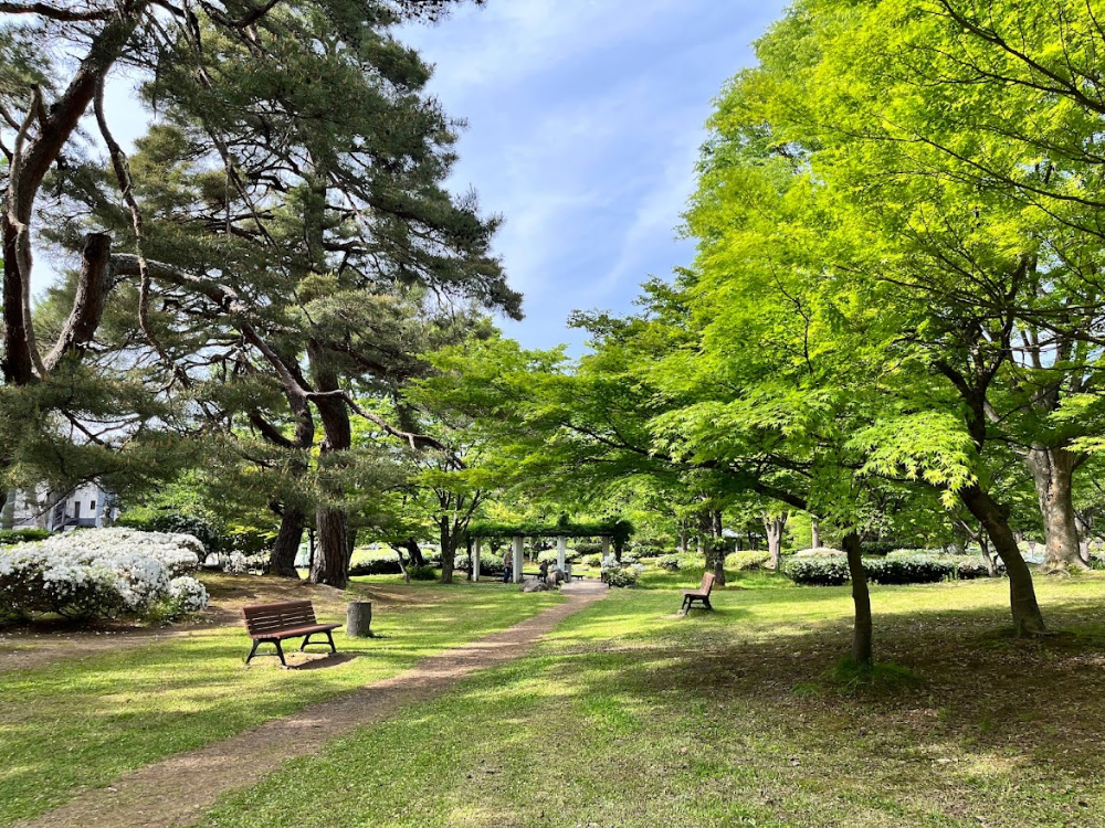 白つつじ公園8