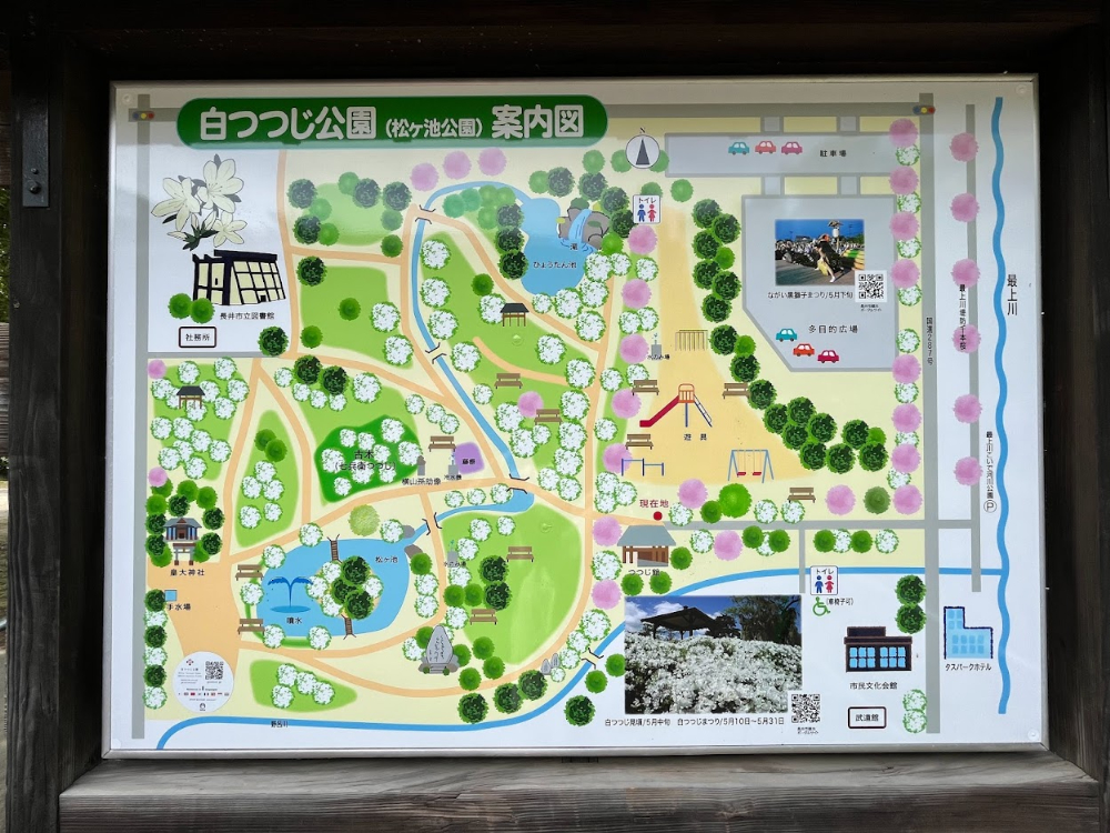 白つつじ公園1
