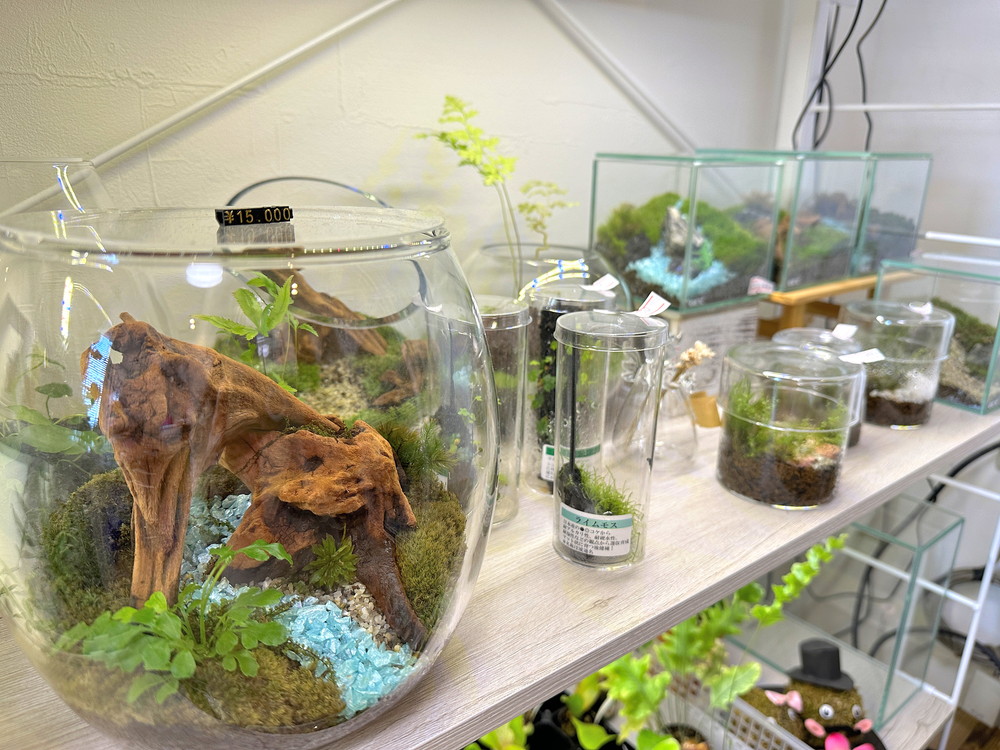 6c59cfbf1269e427bb8dce1d89c91605