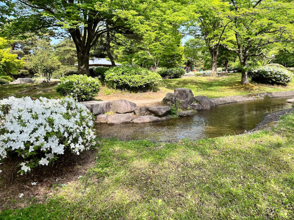 白つつじ公園7