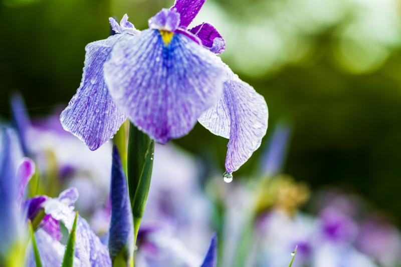 ダウンロード (2)