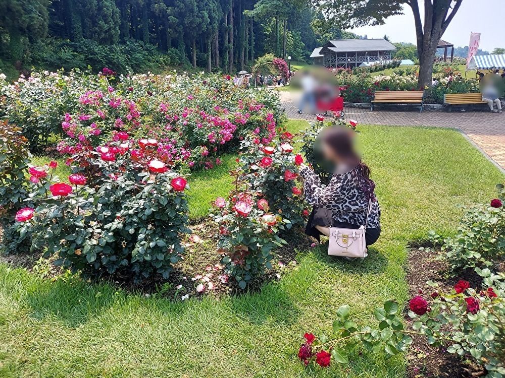 バラまつりー１８