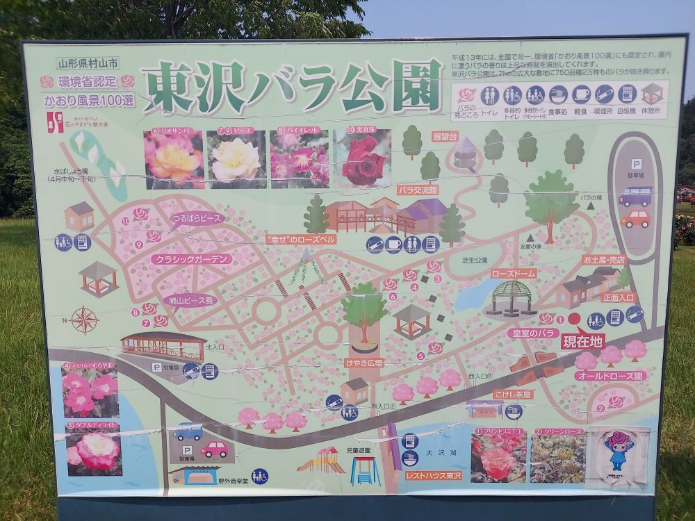 バラまつりー案内図