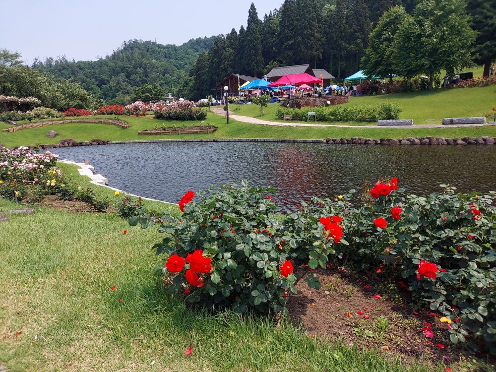 バラまつりー９