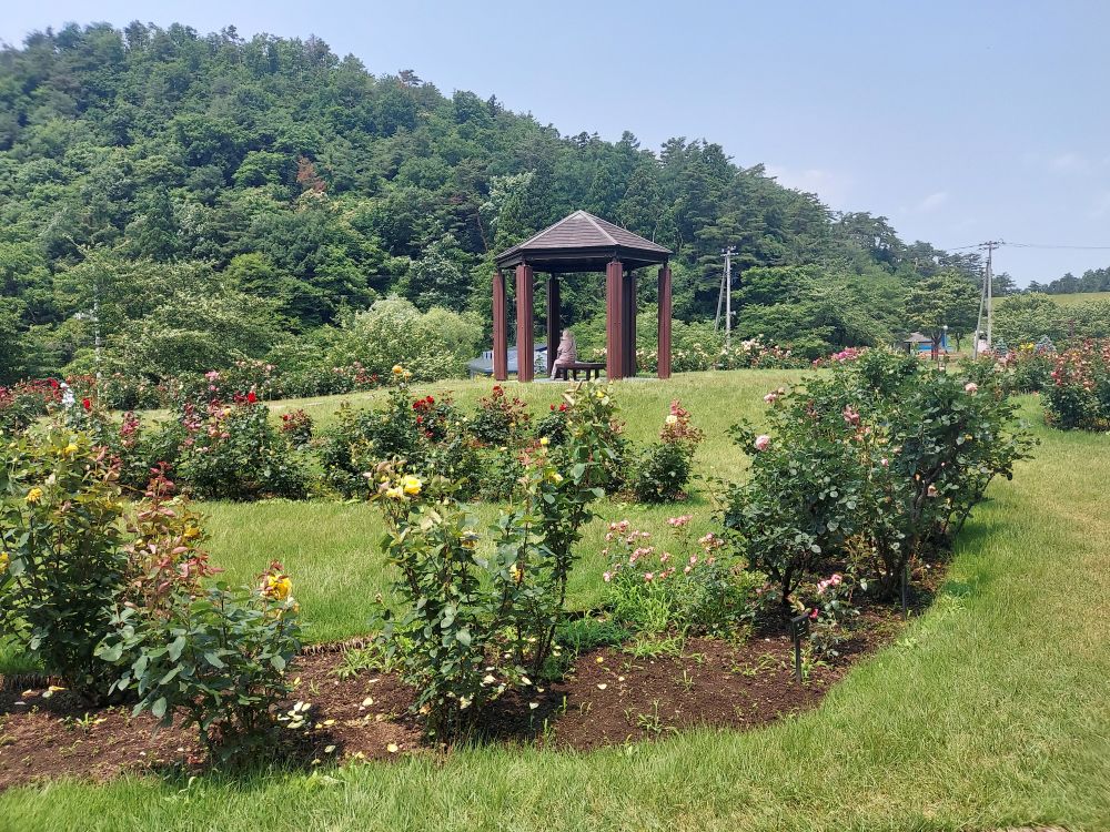 バラまつりー１０