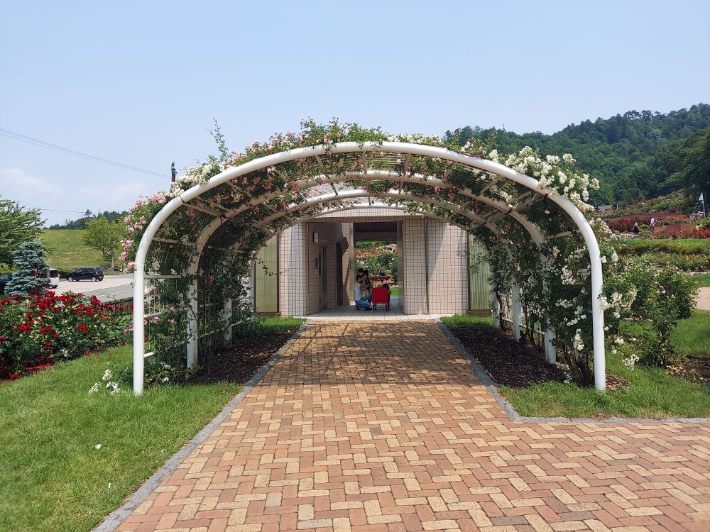 バラまつりー１１