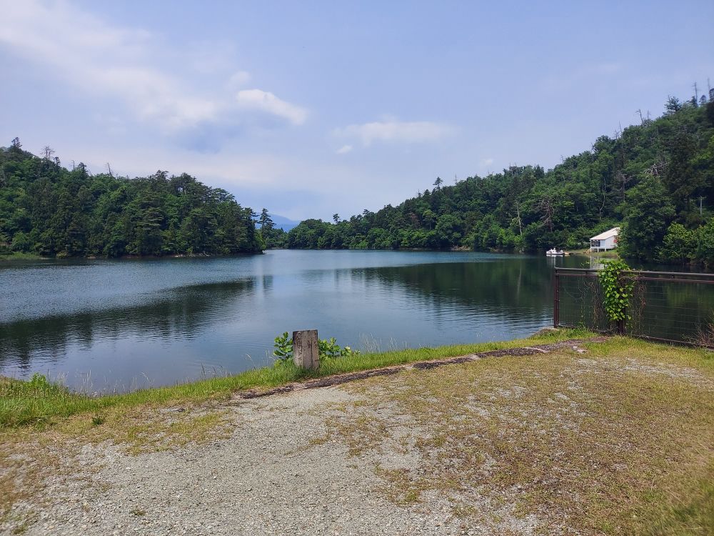 バラまつりー池