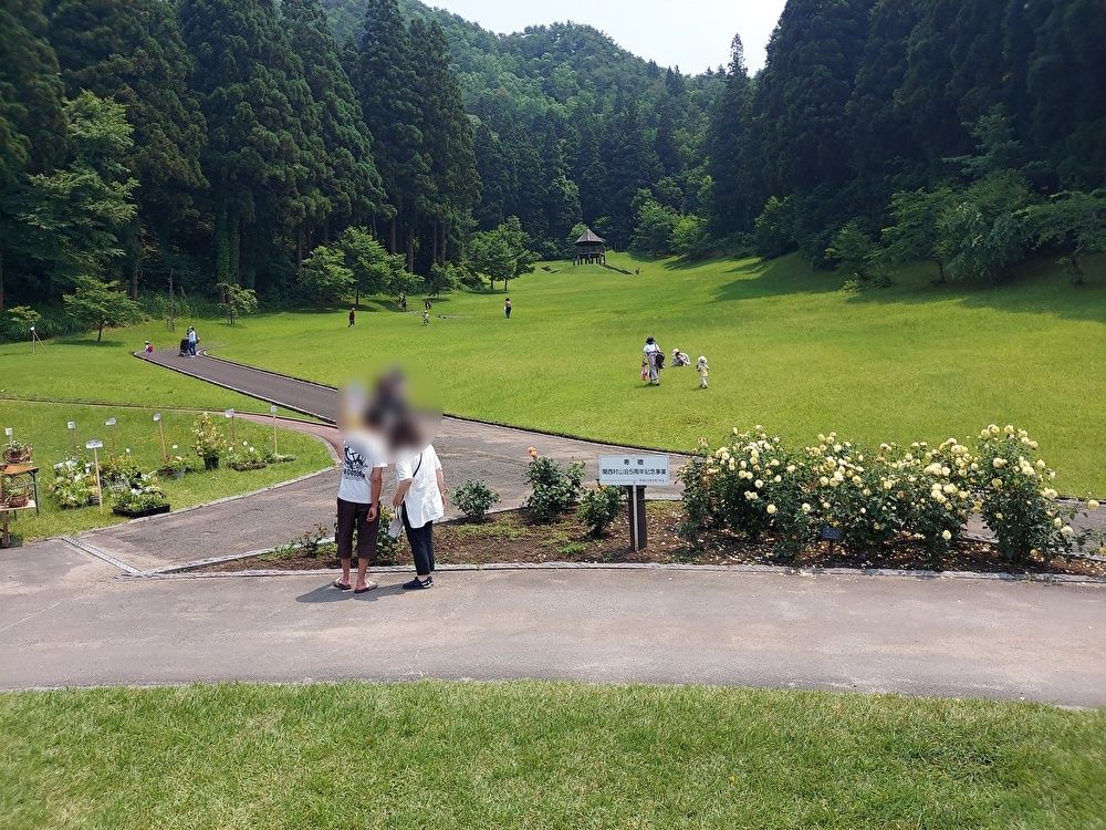 バラまつりー芝生エリア