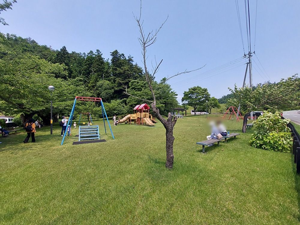 バラまつりー遊具