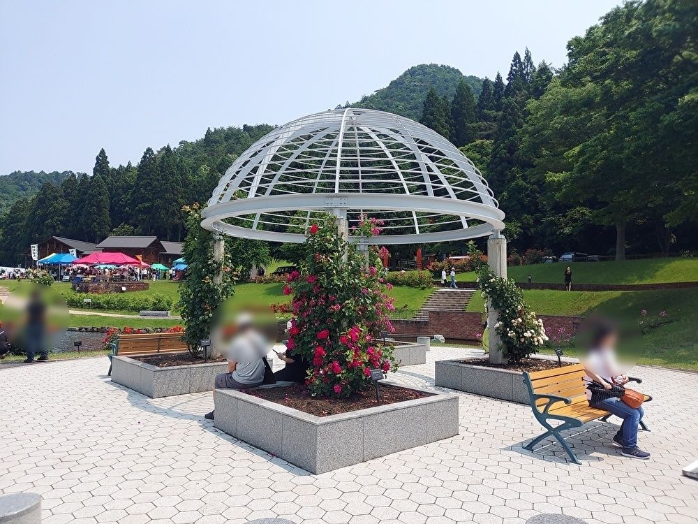 バラまつりー１４