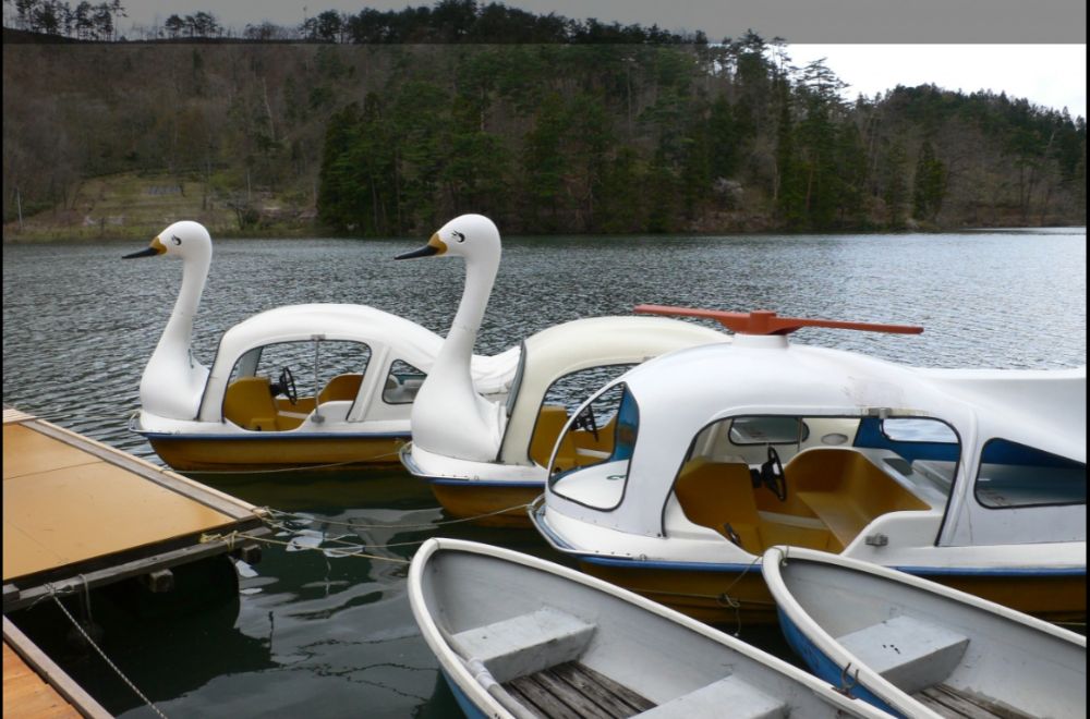 バラまつりーボート