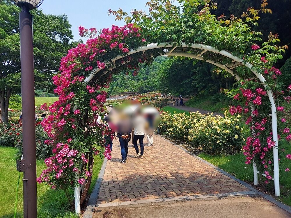 バラまつりー１２