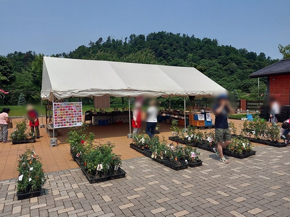 バラまつりー５