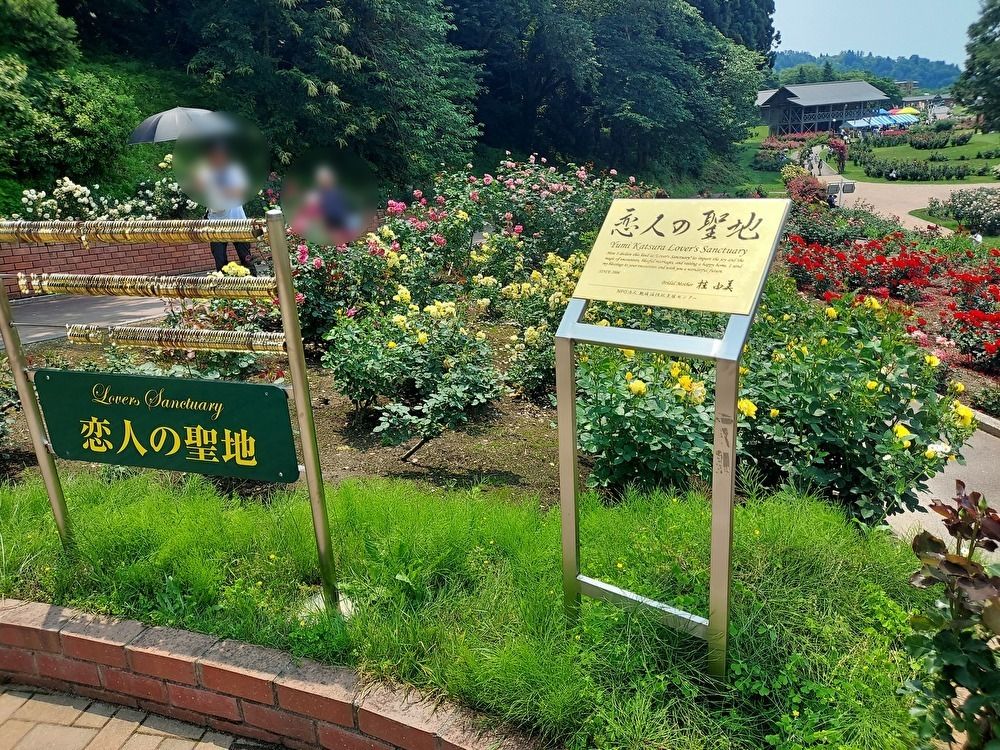 バラまつりー恋人の聖地