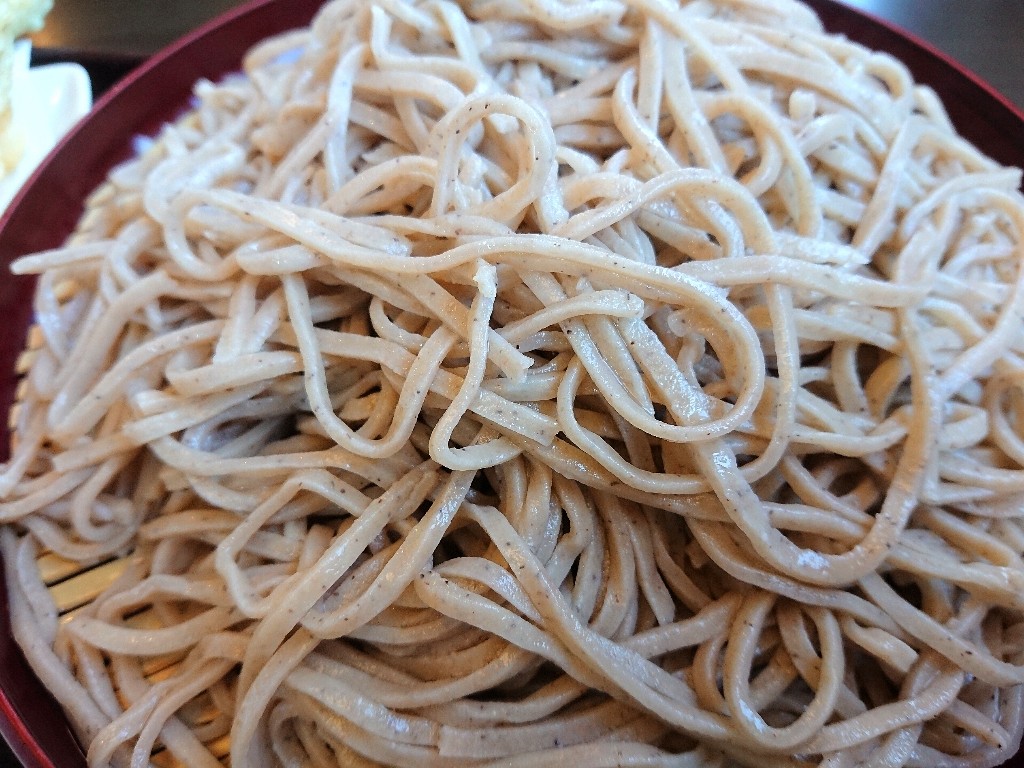 手打蕎麦きふね　食レポ２_copy_1024x768
