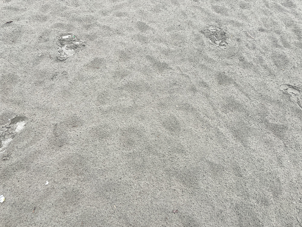 西浜海水浴場 (7)