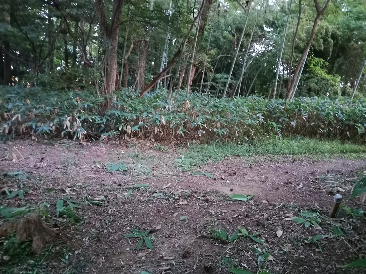 LINE_ALBUM_220930 高瀬山1_230709_37