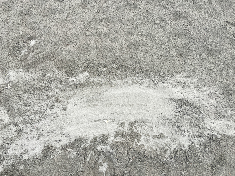 西浜海水浴場 (8)