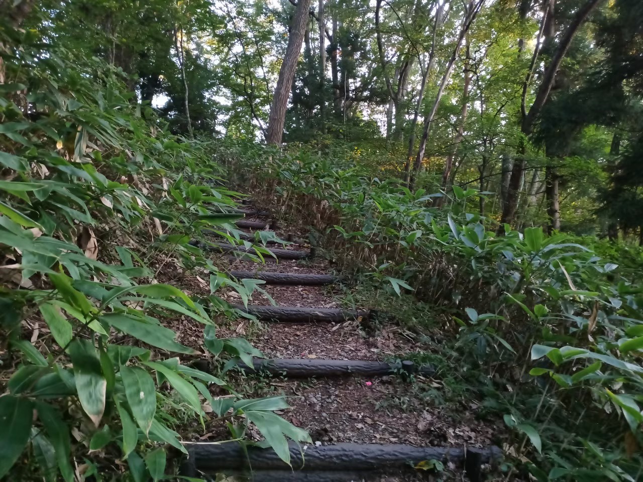 LINE_ALBUM_220930 高瀬山1_230709_43