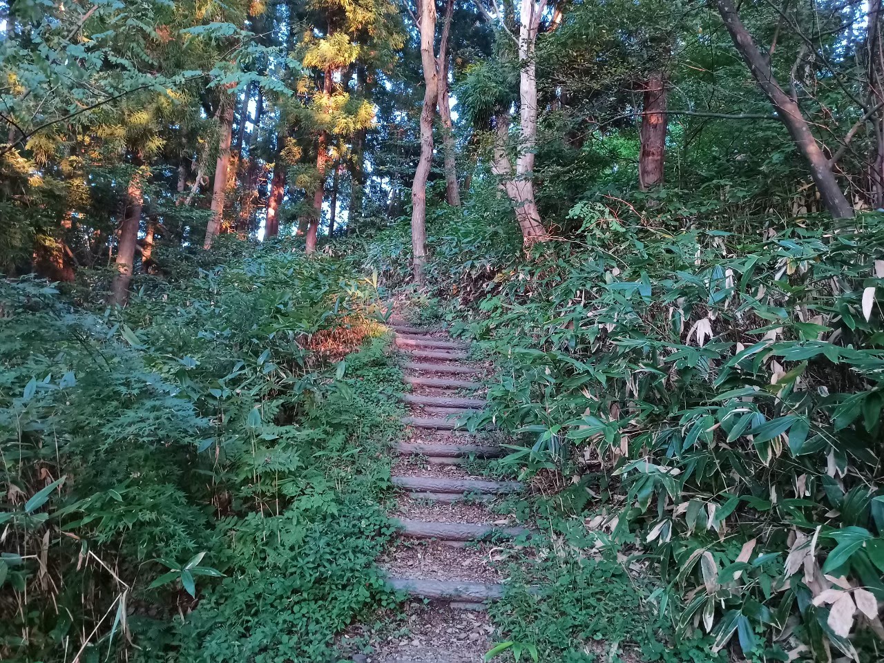 LINE_ALBUM_220930 高瀬山1_230709_45