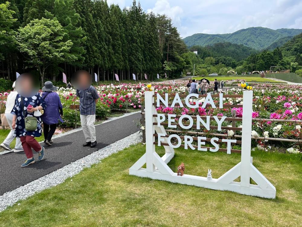 ながいピオニーの森-花公園2