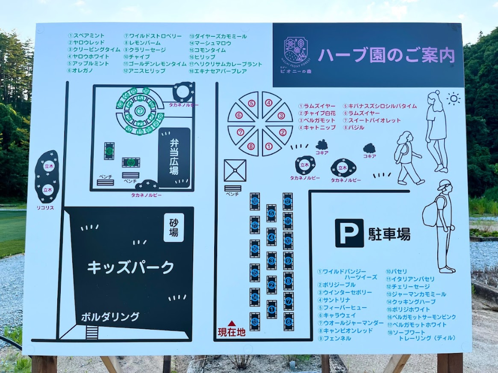 ながいピオニーの森-ハーブ園1