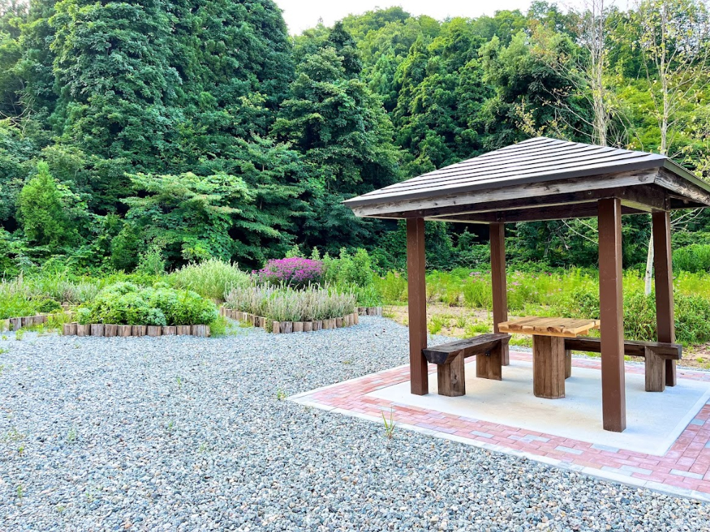 ながいピオニーの森-ハーブ園2