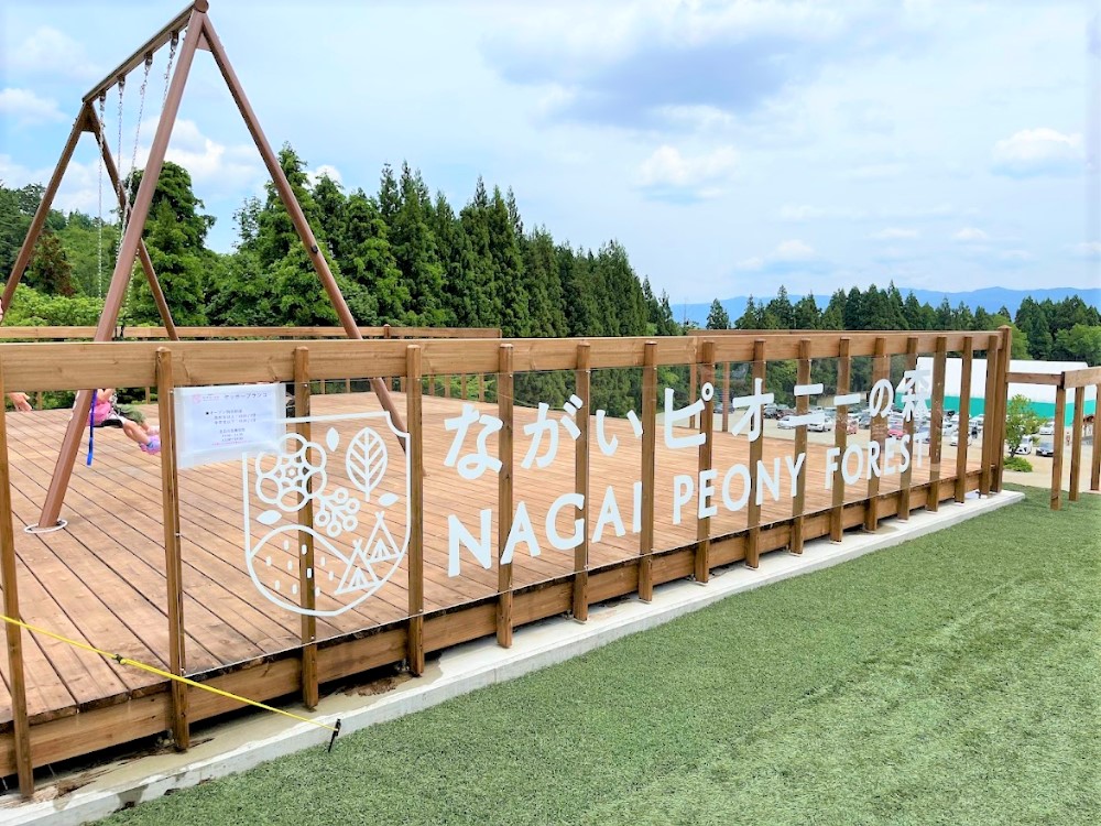 ながいピオニーの森-遊戯施設2