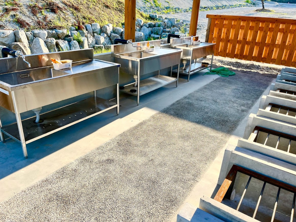 ながいピオニーの森-キャンプ場3