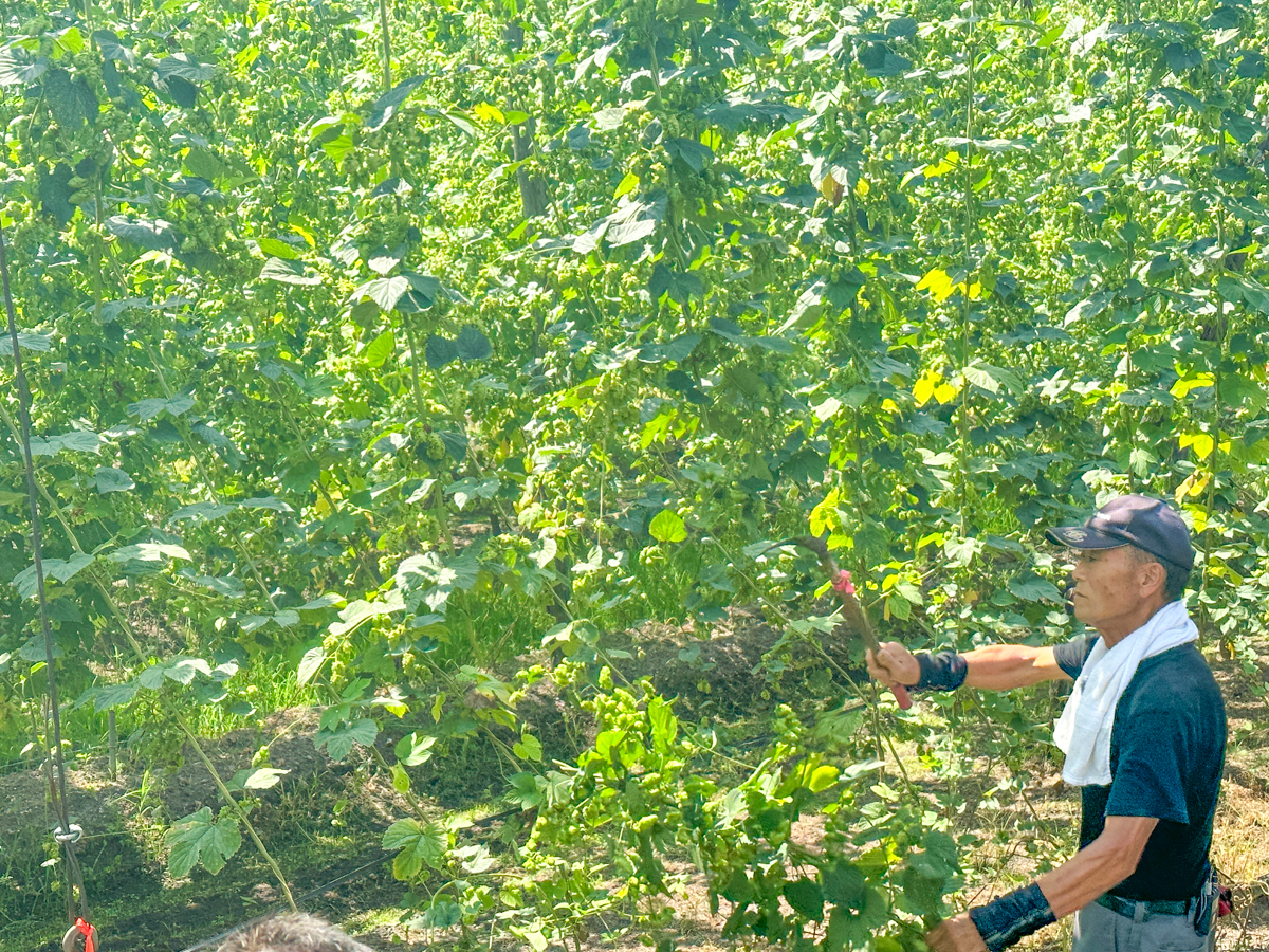 湯坊いちらく-41