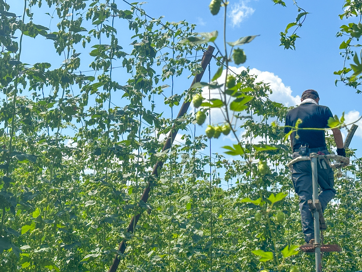 湯坊いちらく-42