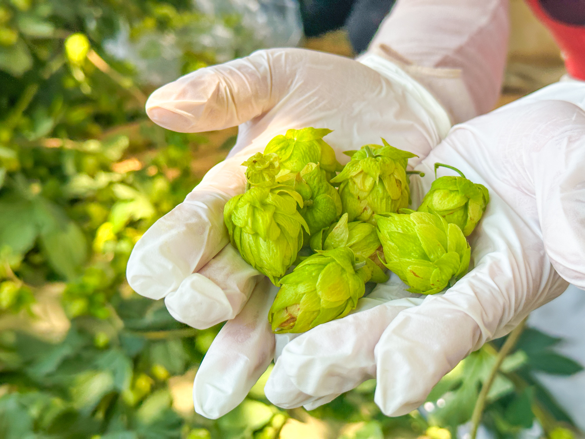 湯坊いちらく-46