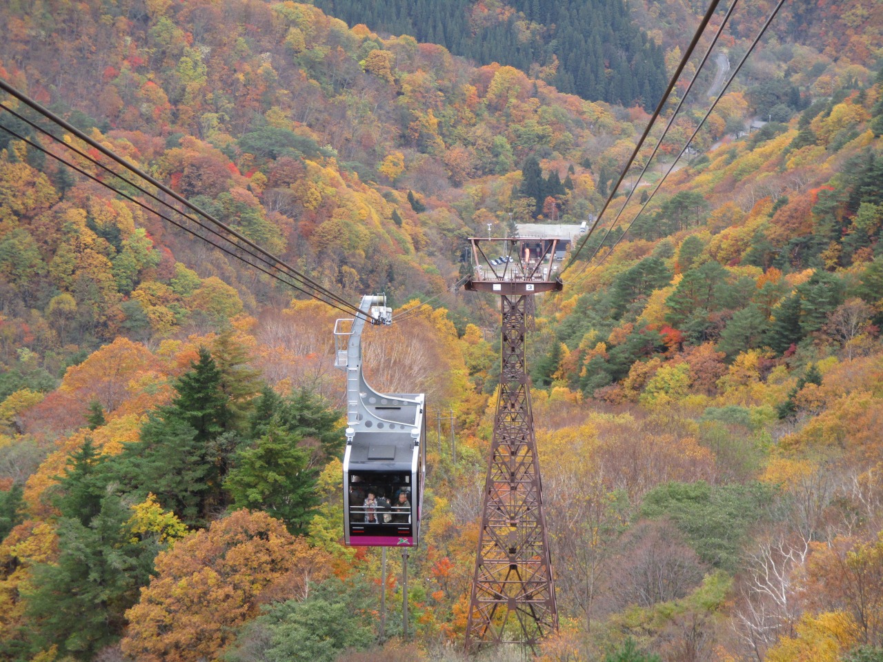 天元台高原-紅葉