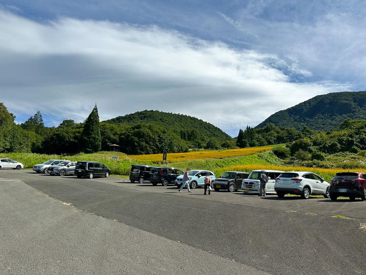 面白山のコスモスベルグ (11)