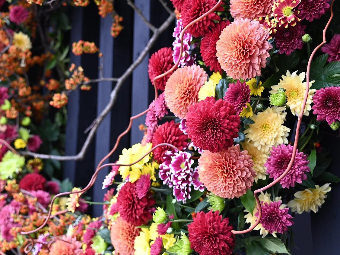 312052827_3373018862956419_1789185079601932342_n