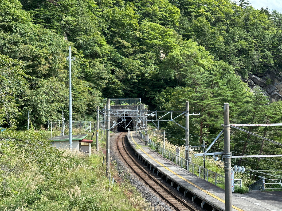 面白山のコスモスベルグ (1)