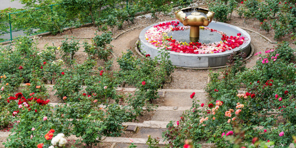 baraen_071-scaled-1000x500