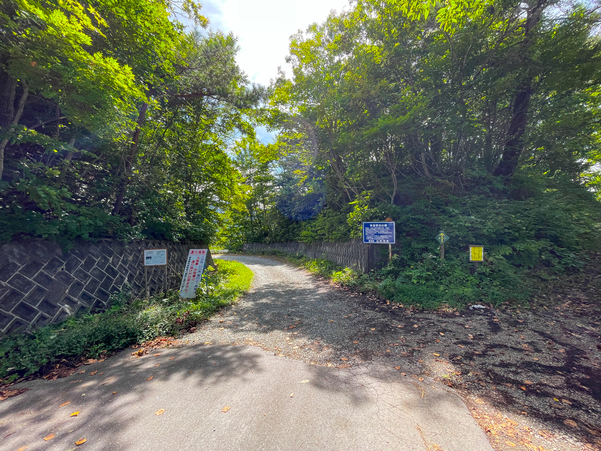 面白山のコスモスベルグ (13)