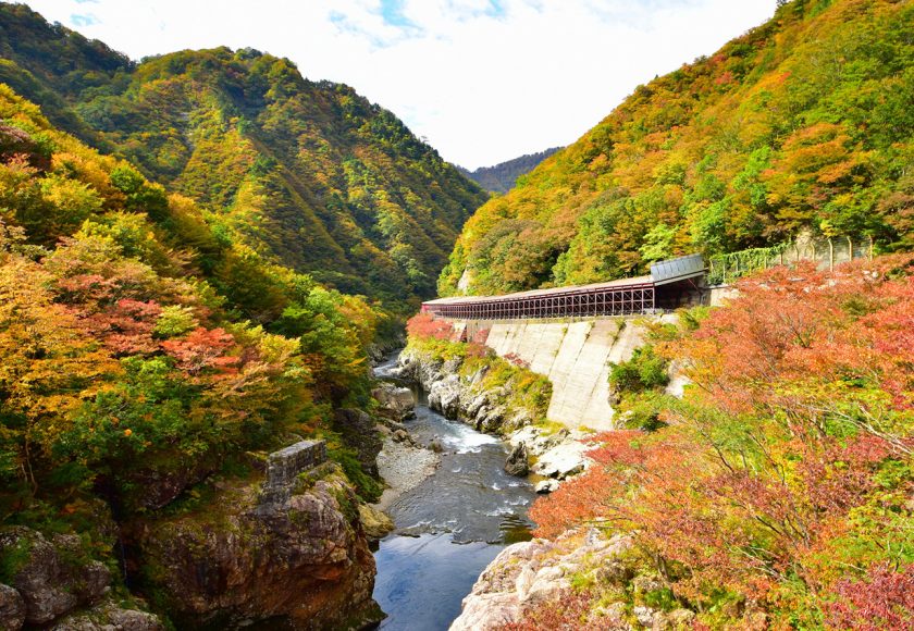 赤芝峡-紅葉2