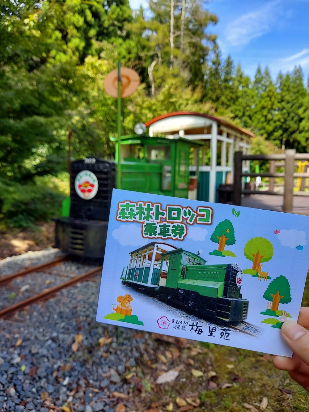 【体験レポ】森林トロッコ列車（真室川町）｜森林浴を楽しむトロッコ！