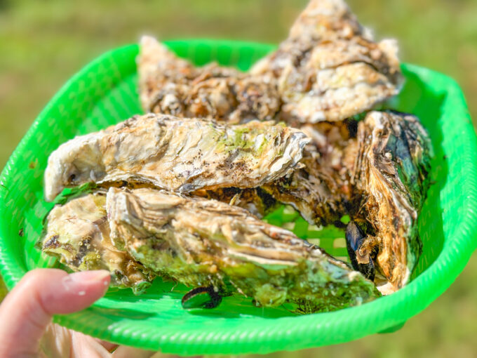 山形屋台レポ】出張牡蠣小屋｜宮城復興&地域活性化イベント〜三陸の