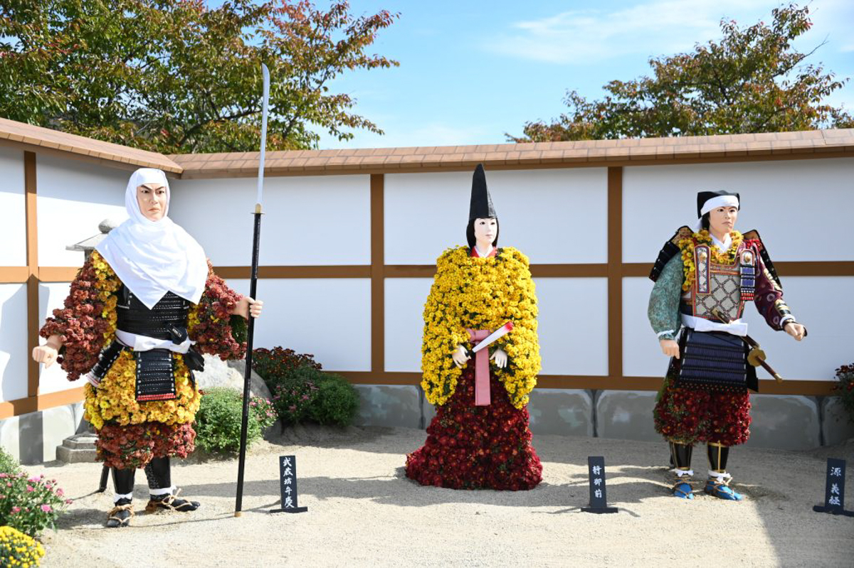 南陽の菊まつり-8